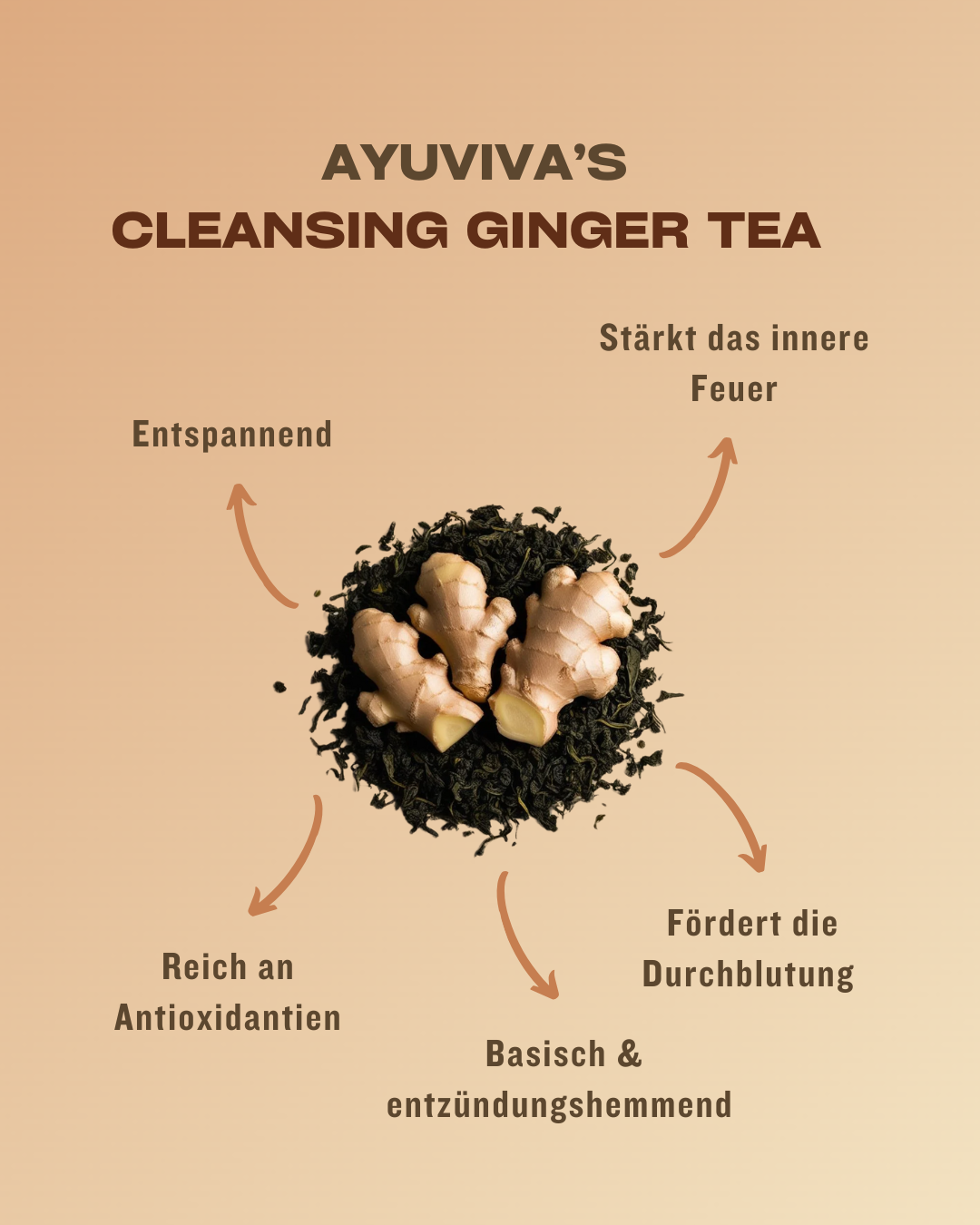 CLEANSING - Ginger Tea - 30 Beutel