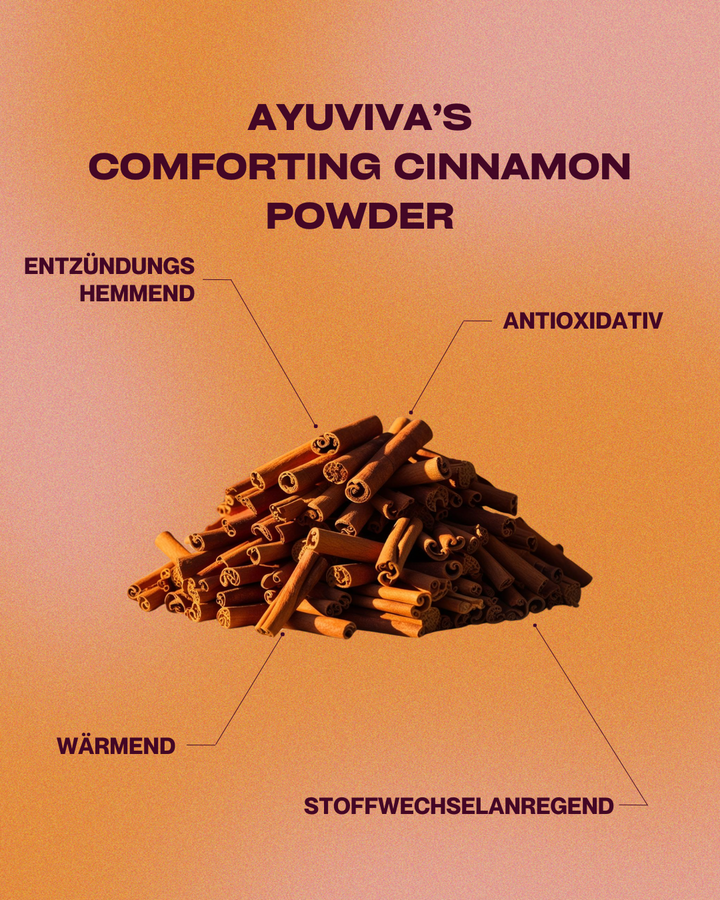 CONFORTANT - Poudre de cannelle - 300g